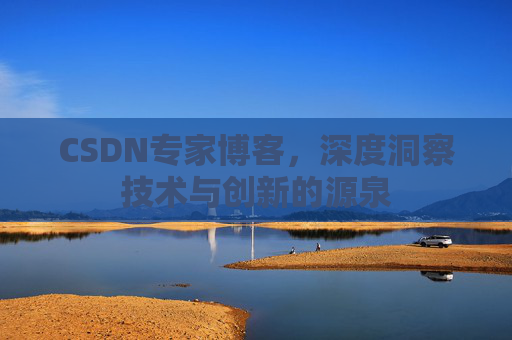 CSDN专家博客，深度洞察技术与创新的源泉